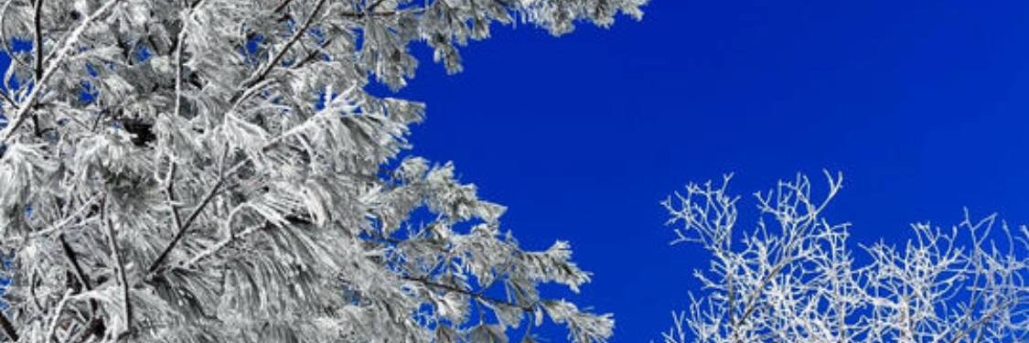 02Swager's profile banner image