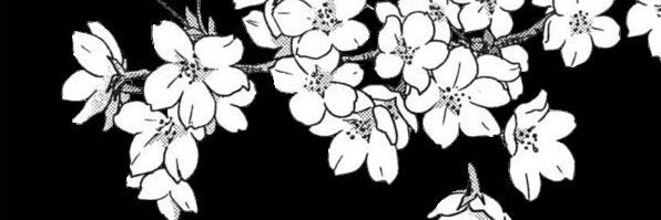 istaristari's profile banner image