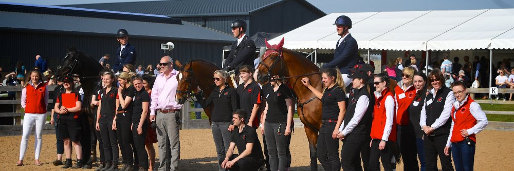 Stallion AI Services banner