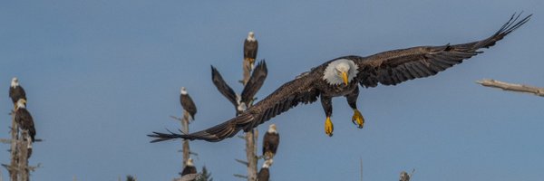 larryvenus Profile Banner