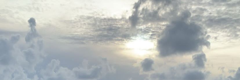 AdriLovesDemi's profile banner image