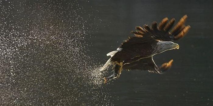 Francisco José López 1 banner