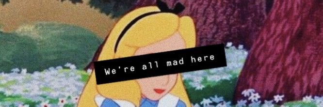 CatTayl 👁️🌈🌼 banner