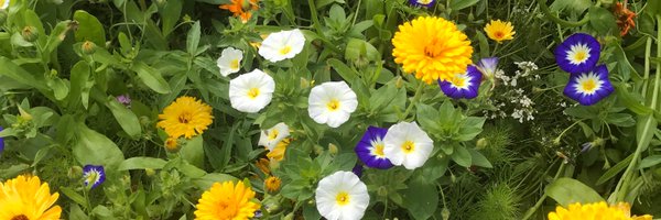 joannebalfe Profile Banner