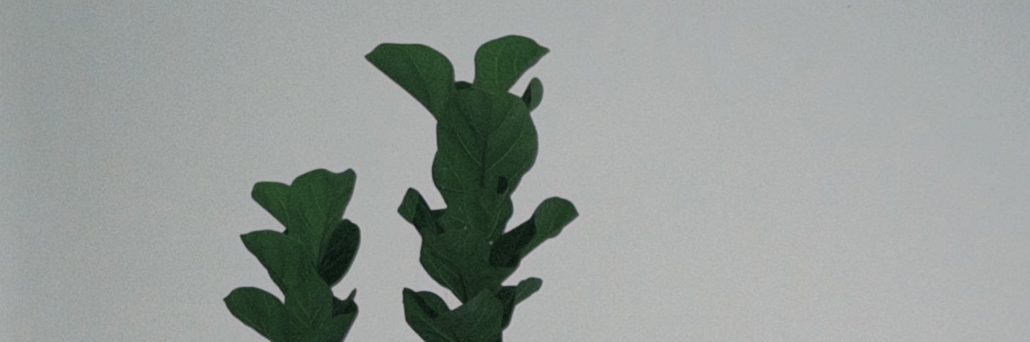 L•Latte banner
