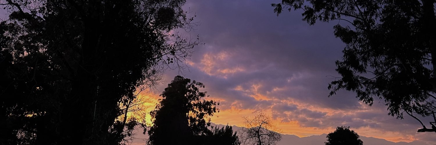 julimerchang's profile banner image