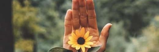 William Ribeiro banner