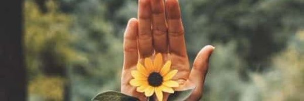 ribeiro_w Profile Banner