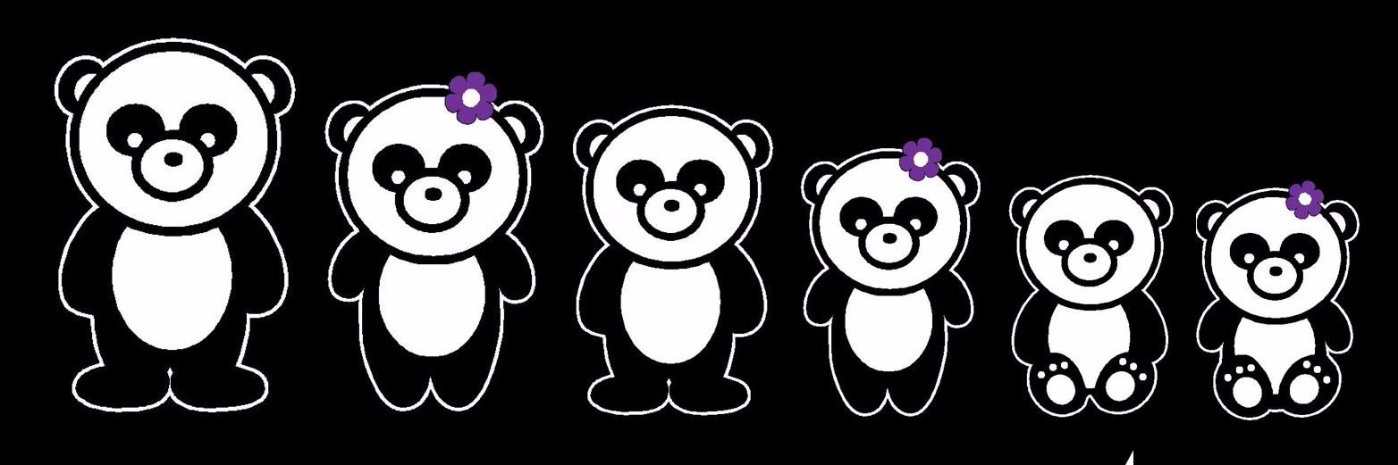 pandykemp1's profile banner image