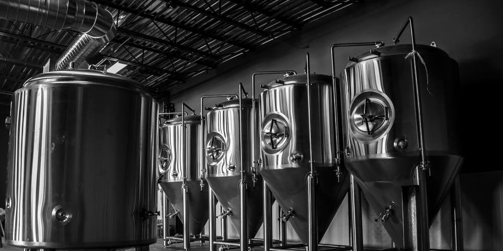 Deciduous Brewing Company banner