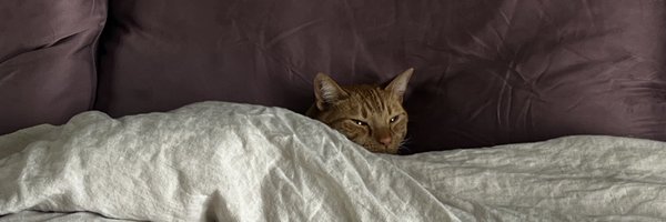 papatcrypt Profile Banner