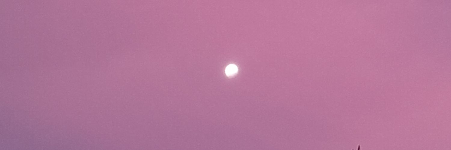 Snow banner