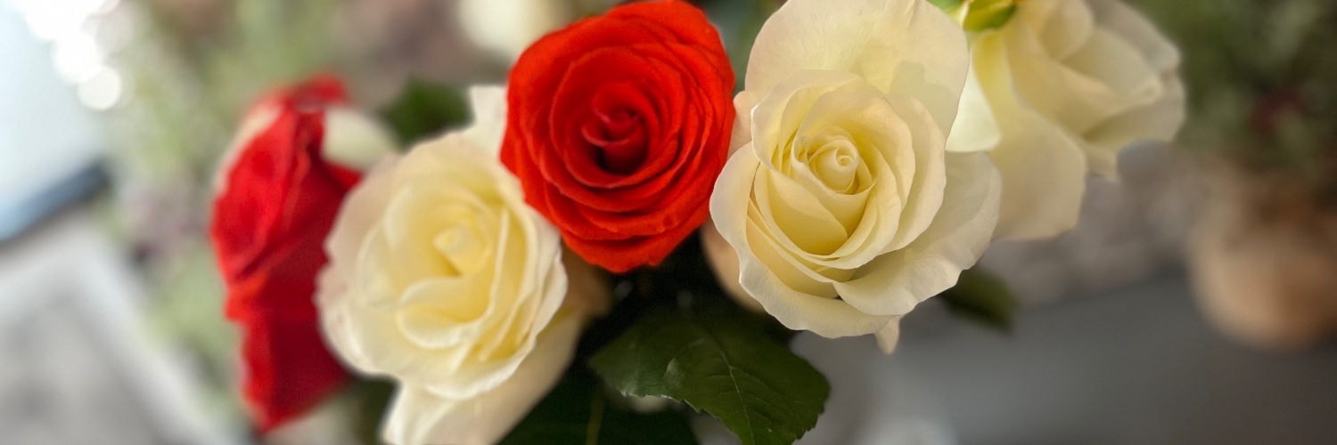 Ivonne555's profile banner image