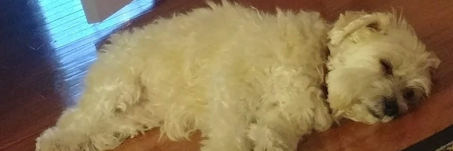 KathyMWag's profile banner image
