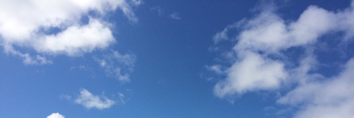 MadelineTeele's profile banner image