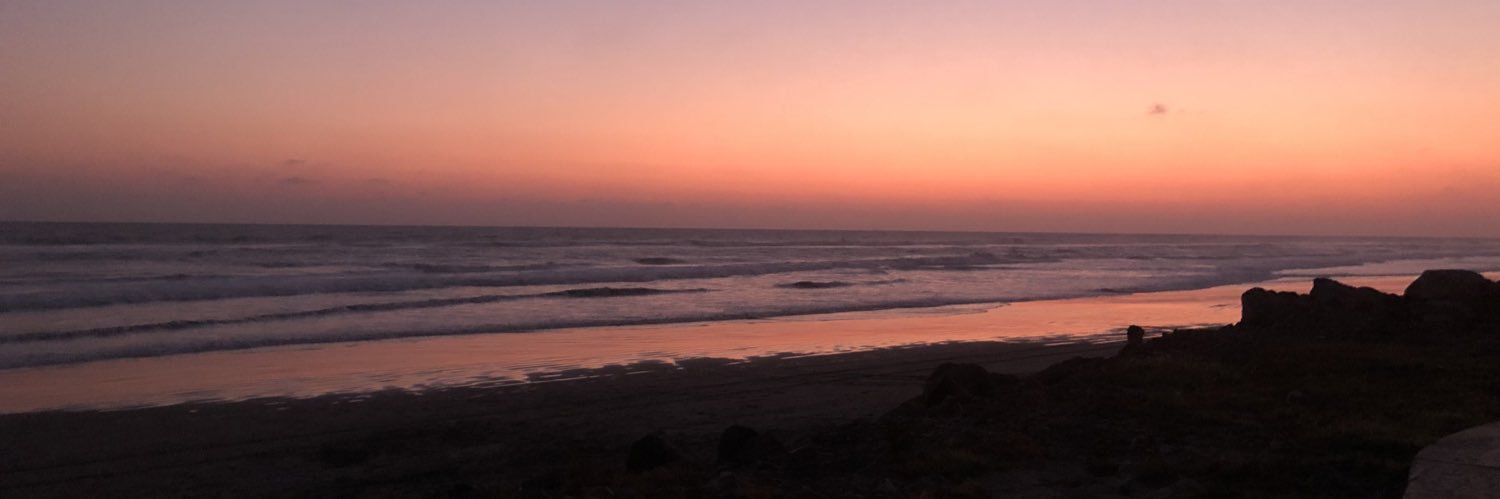 Leticia banner