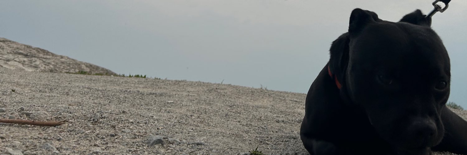 Jay Brody banner