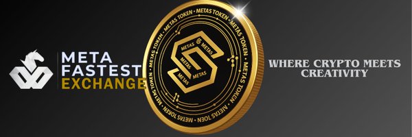 metaflowx Profile Banner