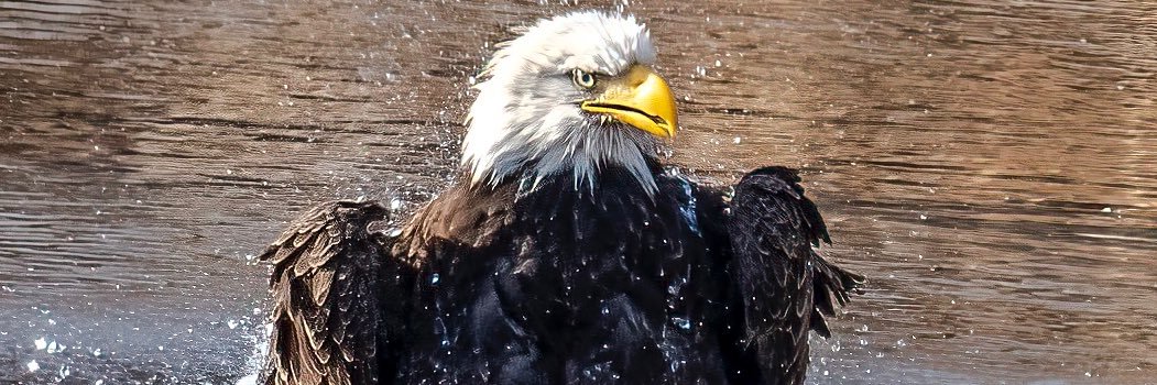 bootz61's profile banner image