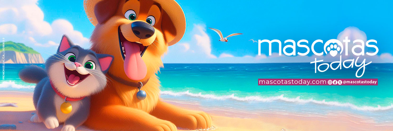 MascotasToday's profile banner image