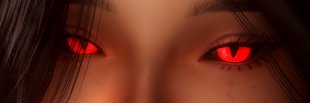 Lynx banner