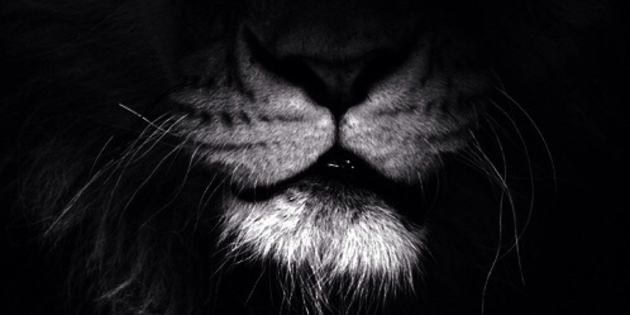 Nikkipieee's profile banner image