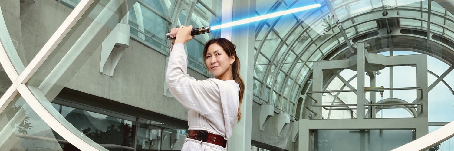 the stylish geek banner