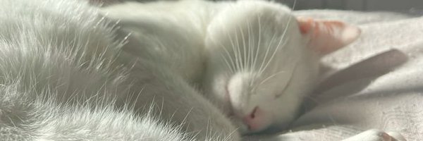 BarnesJ4mes Profile Banner