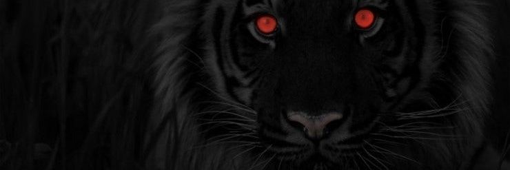 baesuin162700's profile banner image