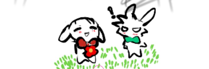 sara's banner