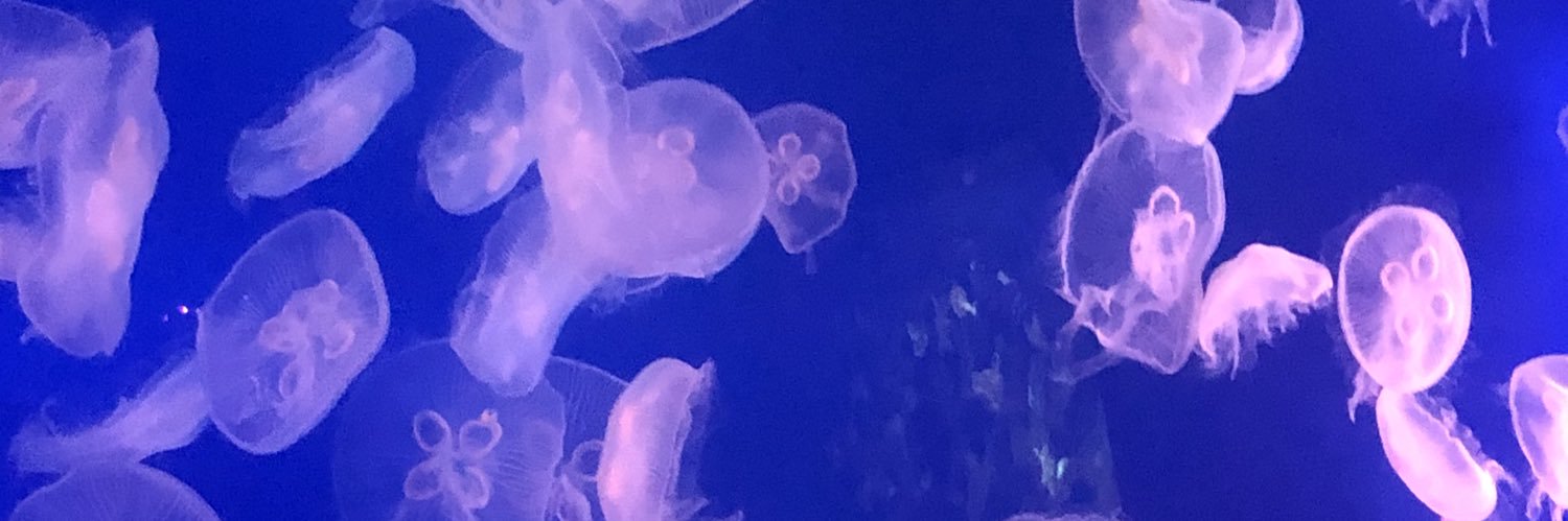 ᙏ̤̫͚ banner