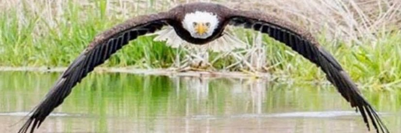 Angeleyes💫 banner