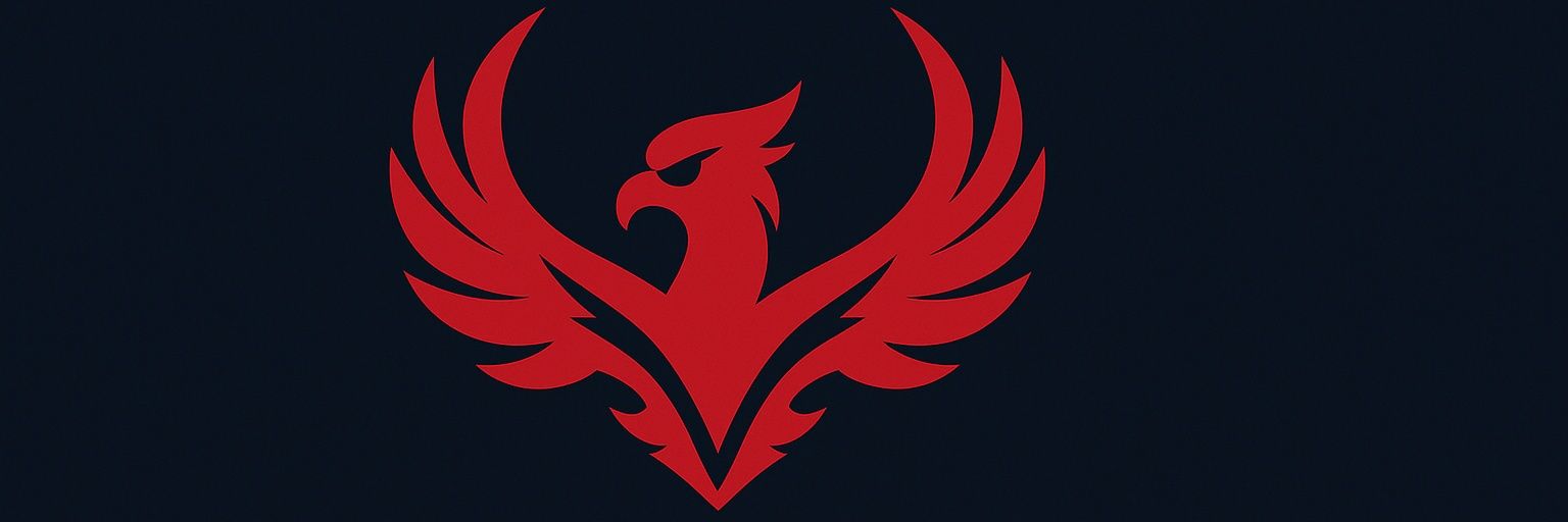 Vinity Esports banner