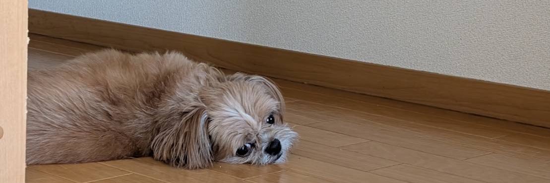 ORUdayo0's profile banner image
