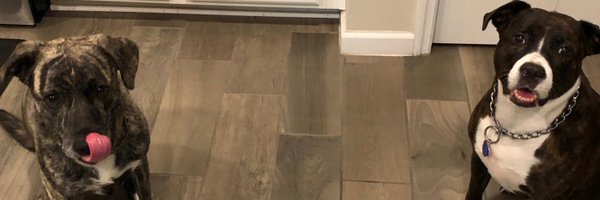 julia_early Profile Banner
