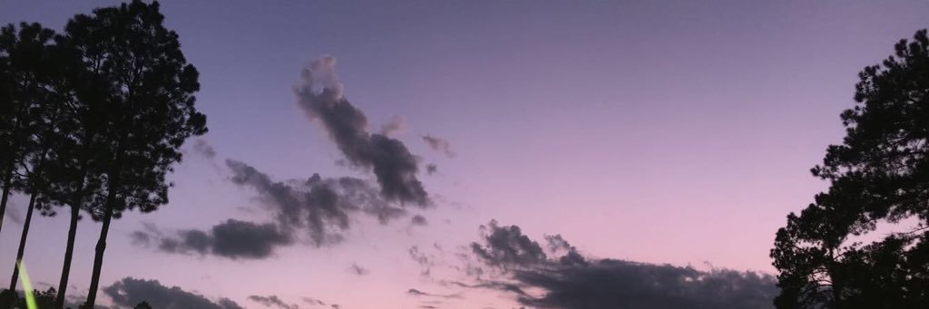 Jazzcanfield46's profile banner image