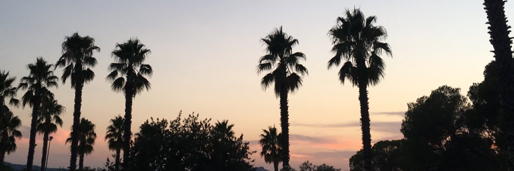 mrjtdixon's profile banner image