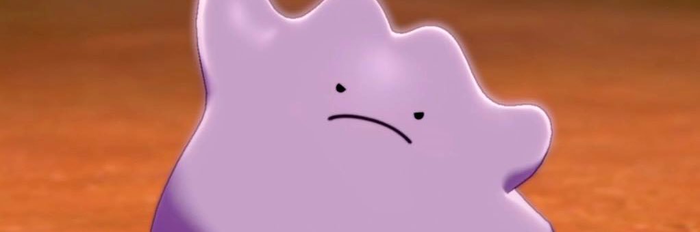 8월의 써르 banner