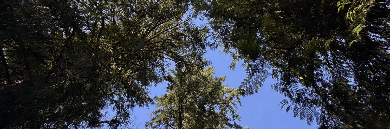 taylorbeegee's profile banner image