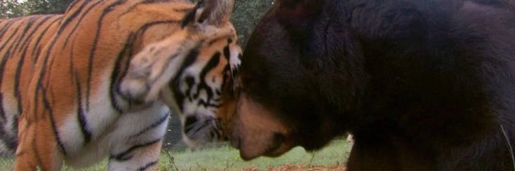joelseeram's profile banner image