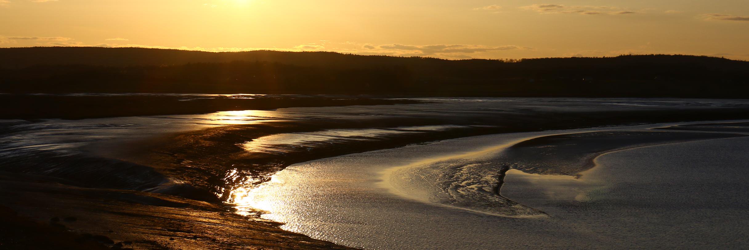WindsorNS's profile banner image