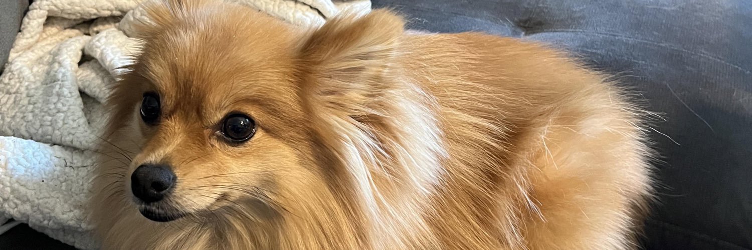 EmilyMariaJoy's profile banner image