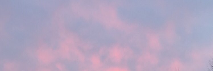 MaceyFischer's profile banner image