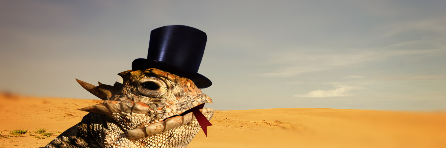 _GeckoDisco's profile banner image