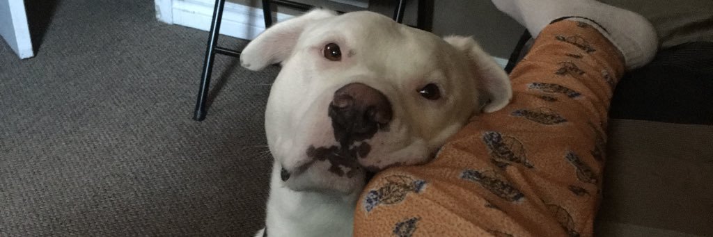 T banner