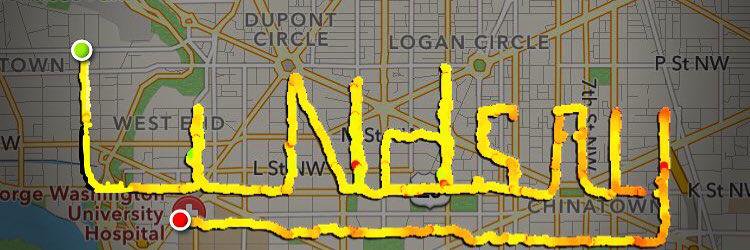 LinzHyman's profile banner image