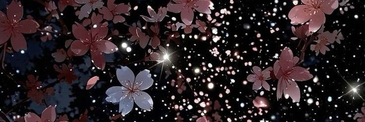 FatimaShah52005's profile banner image