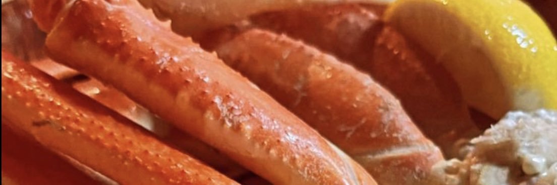 tarksdania's profile banner image