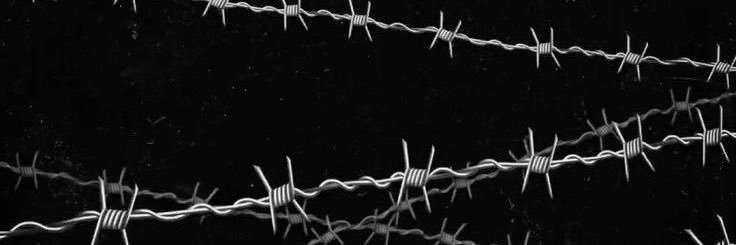 𝐃͟𝐎͟𝐁͟𝐄͟𝐑͟𝐌͟𝐀͟𝐍͟. ₊ banner