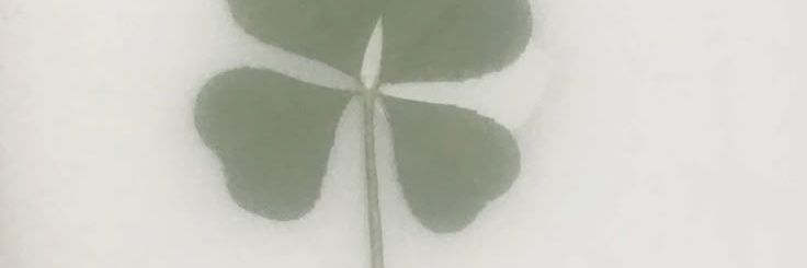 limenerrr banner